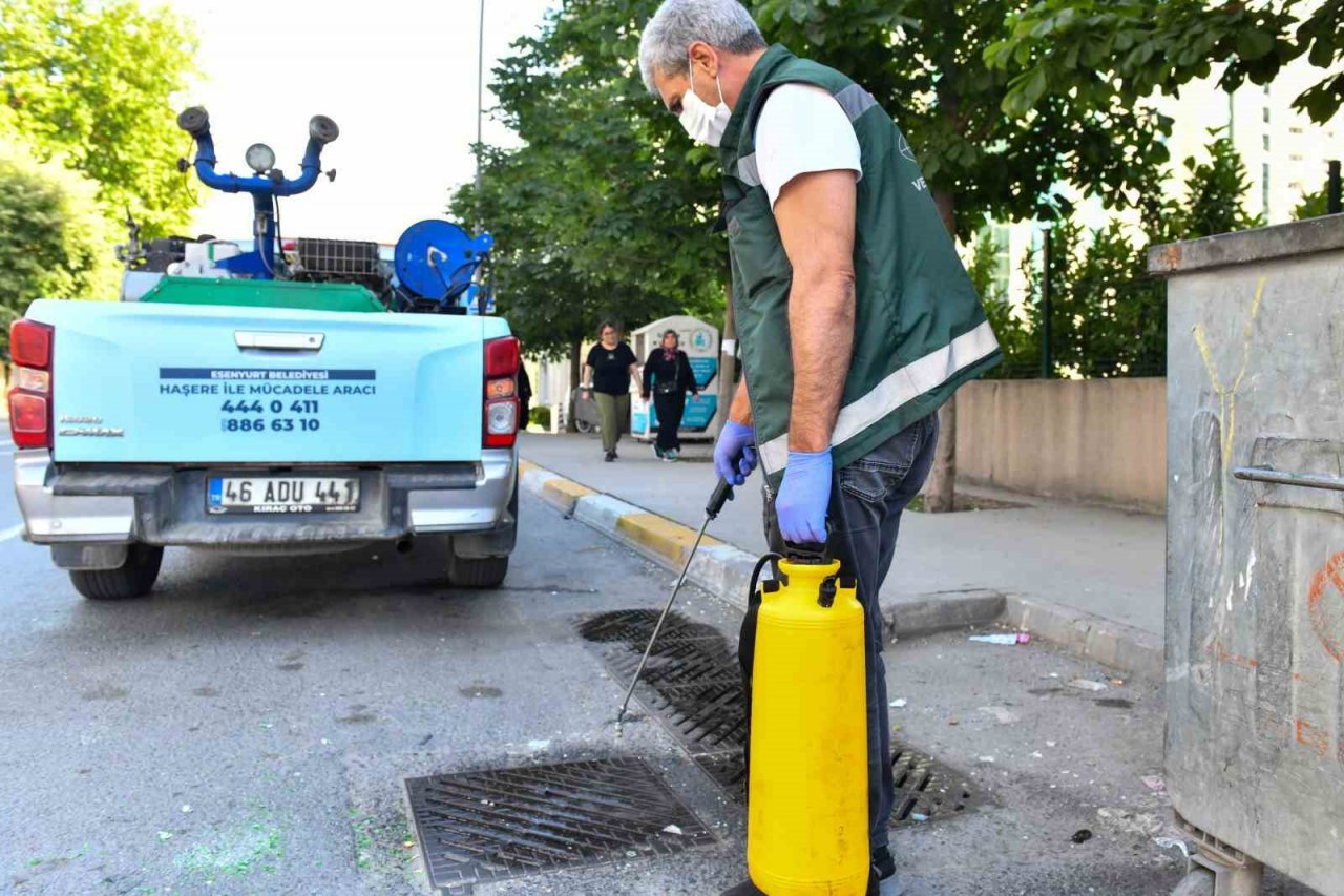 Haşerelere karşı etkin mücadele