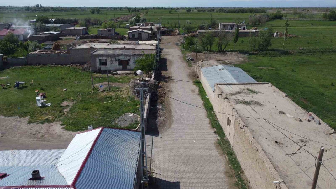 Iğdır’da leylek yuvasının hane sayısından çok olduğu köy havadan görüntülendi