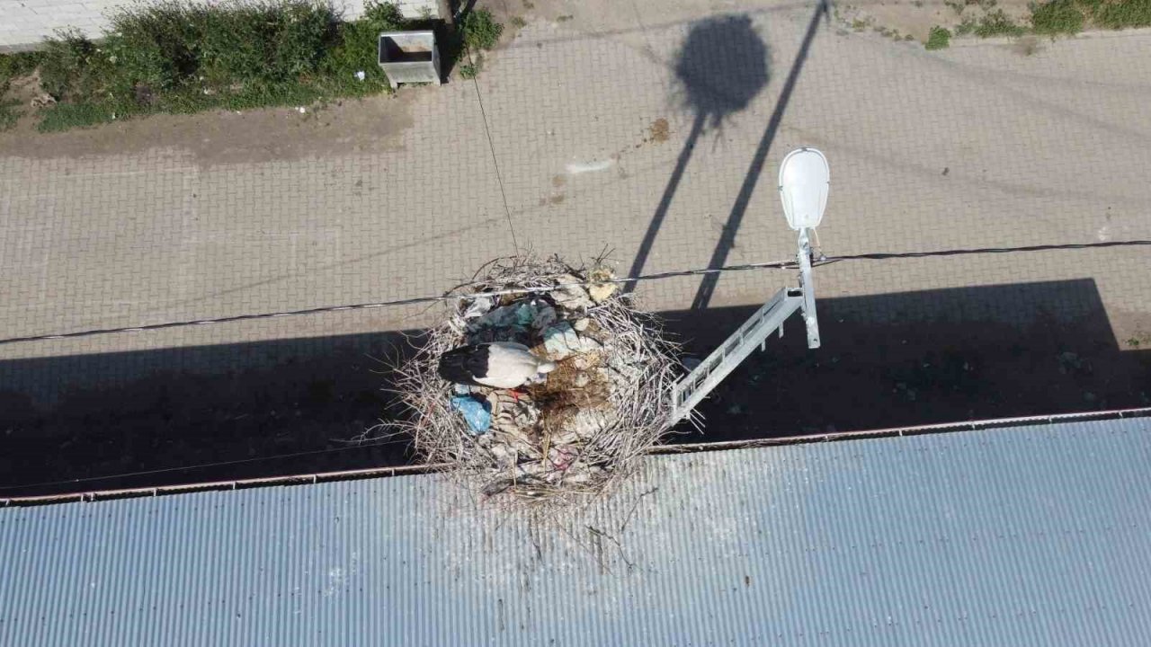 Iğdır’da leylek yuvasının hane sayısından çok olduğu köy havadan görüntülendi