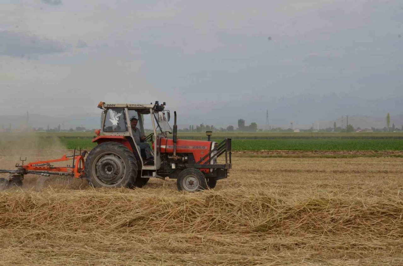 Depremzede çiftçilerin devlet desteği ile ektikleri yem bitkisi hasadı başladı