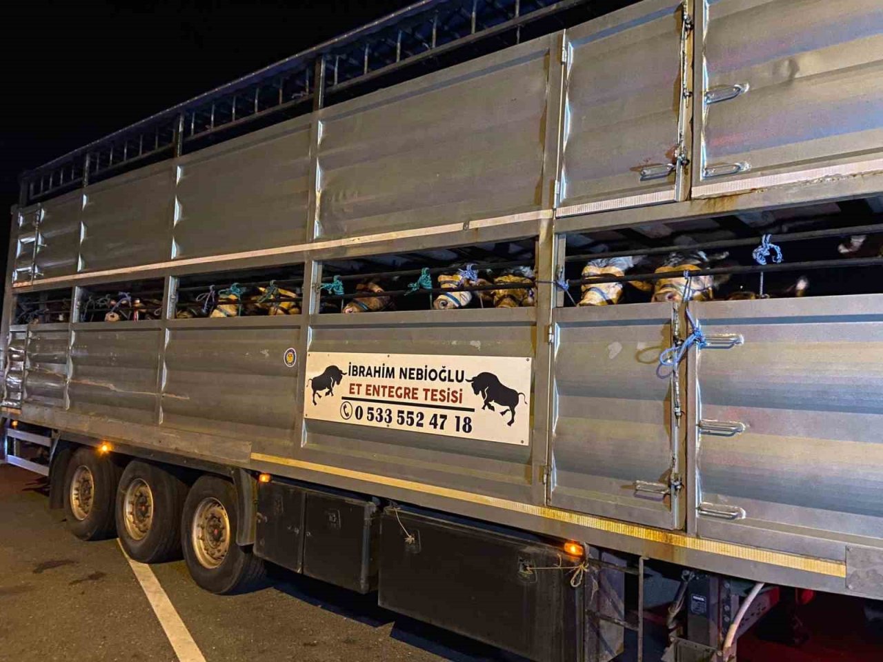 İstanbul’a kurbanlık hayvan girişleri başladı