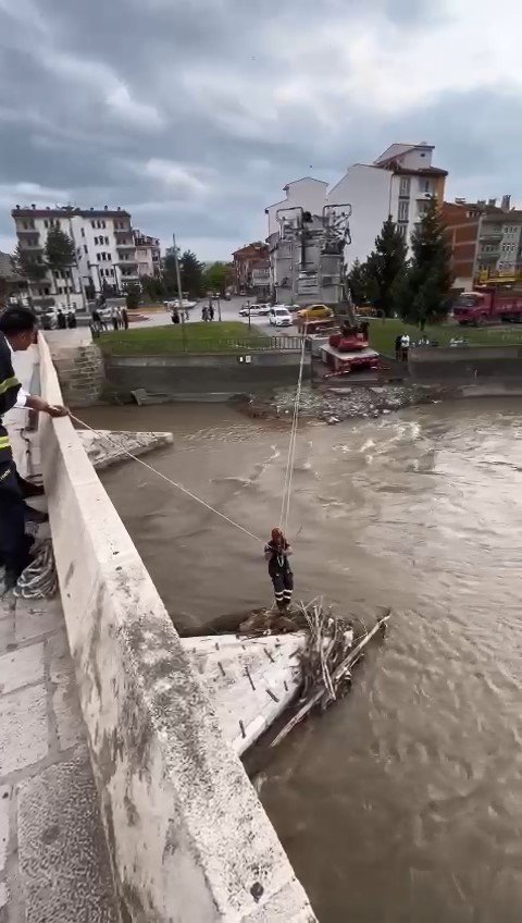 Irmakta mahsur kalan porsuğu itfaiye ekipleri kurtardı