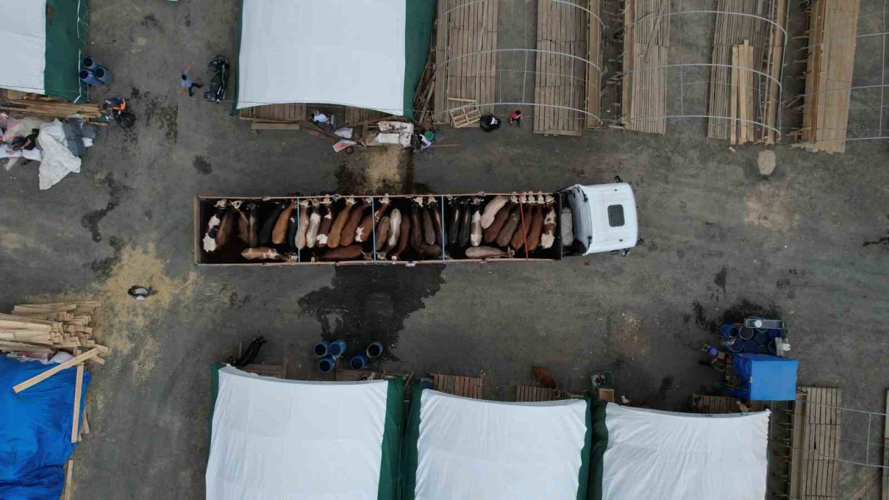 Sultangazi’de kurbanlıklar pazara gelmeye başlandı