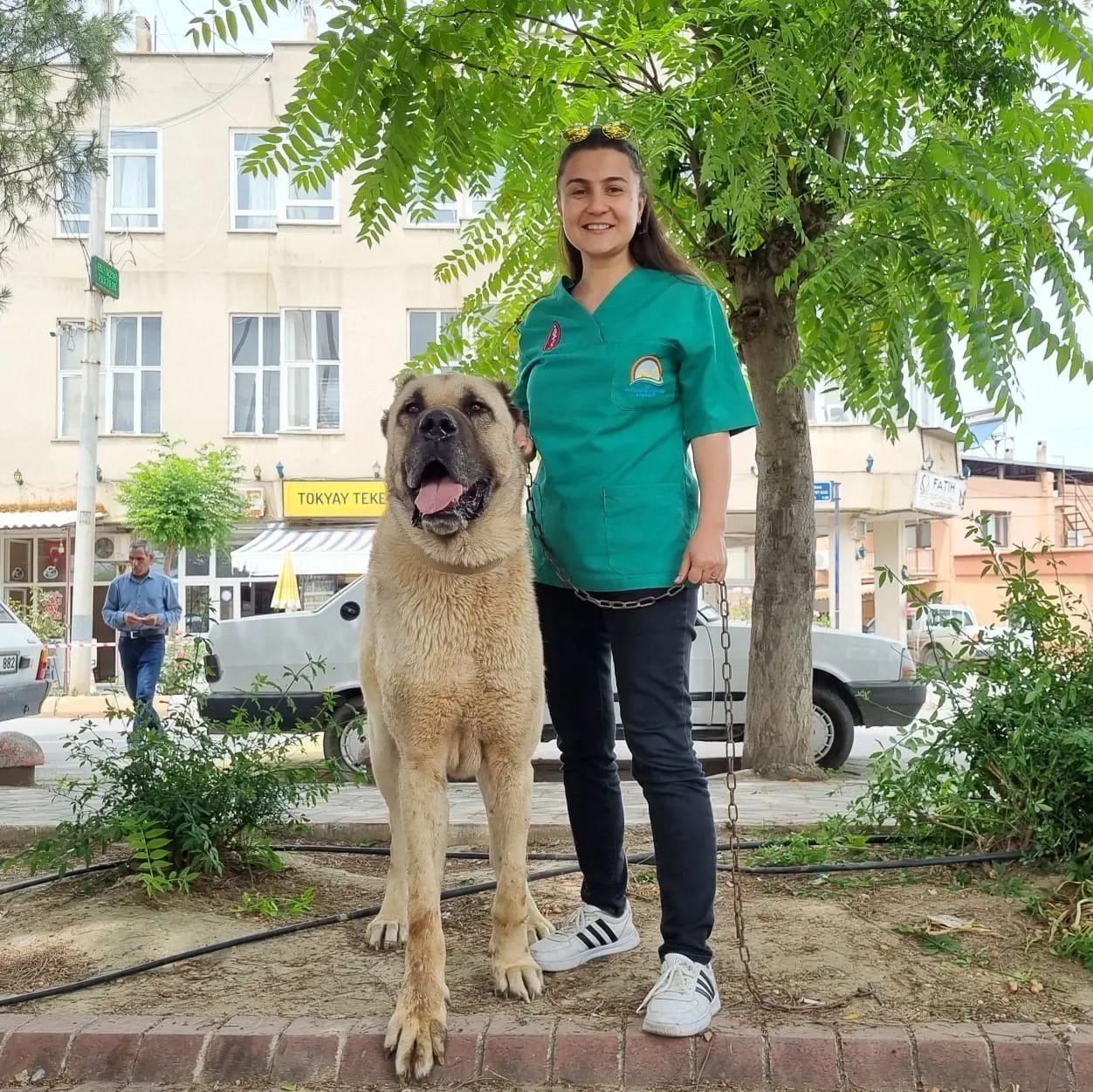 Salihli’de bin kedi ve köpeğe mikroçip takıldı