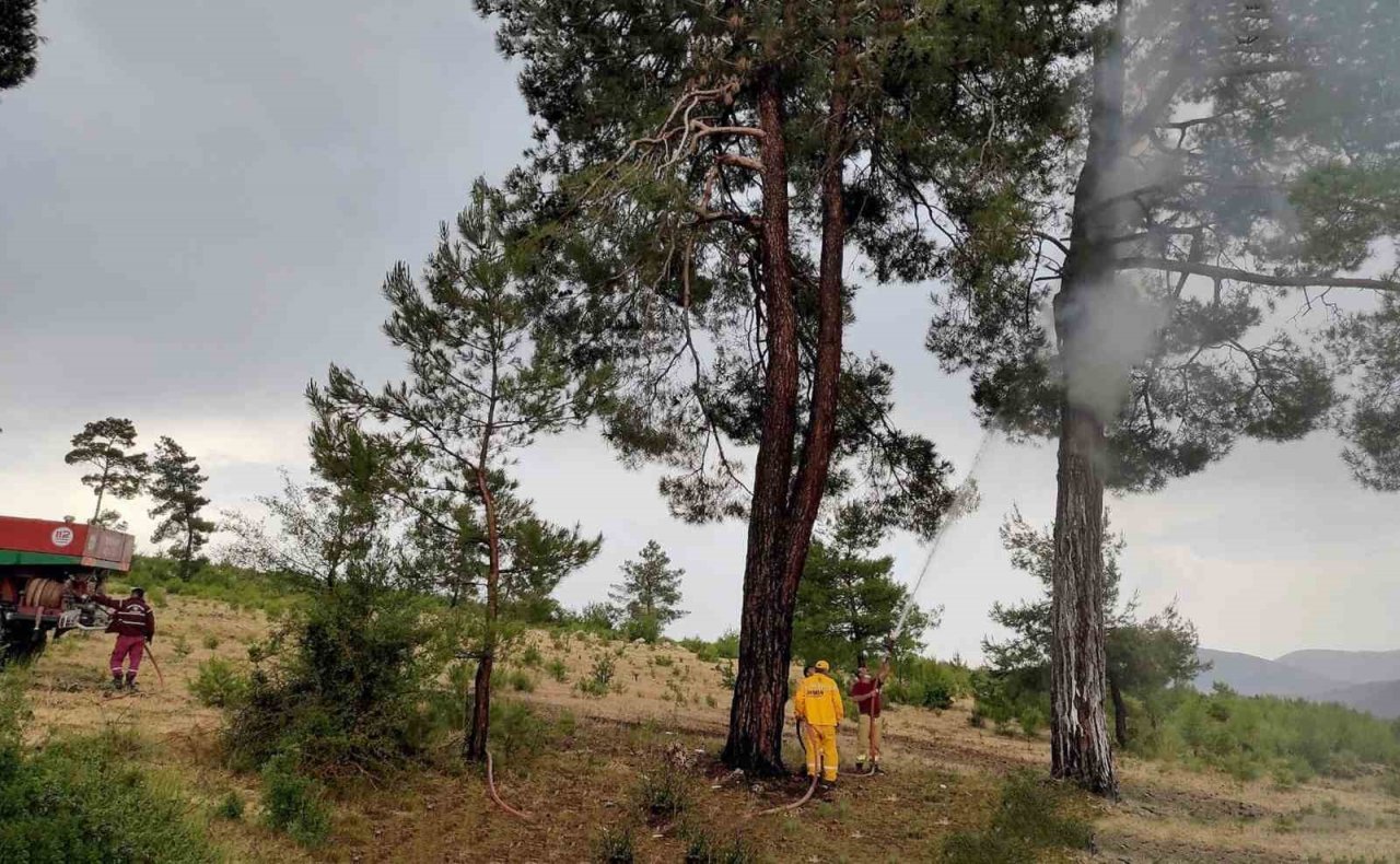 Yaz yağmurları yıldırım yangınlarını arttırdı