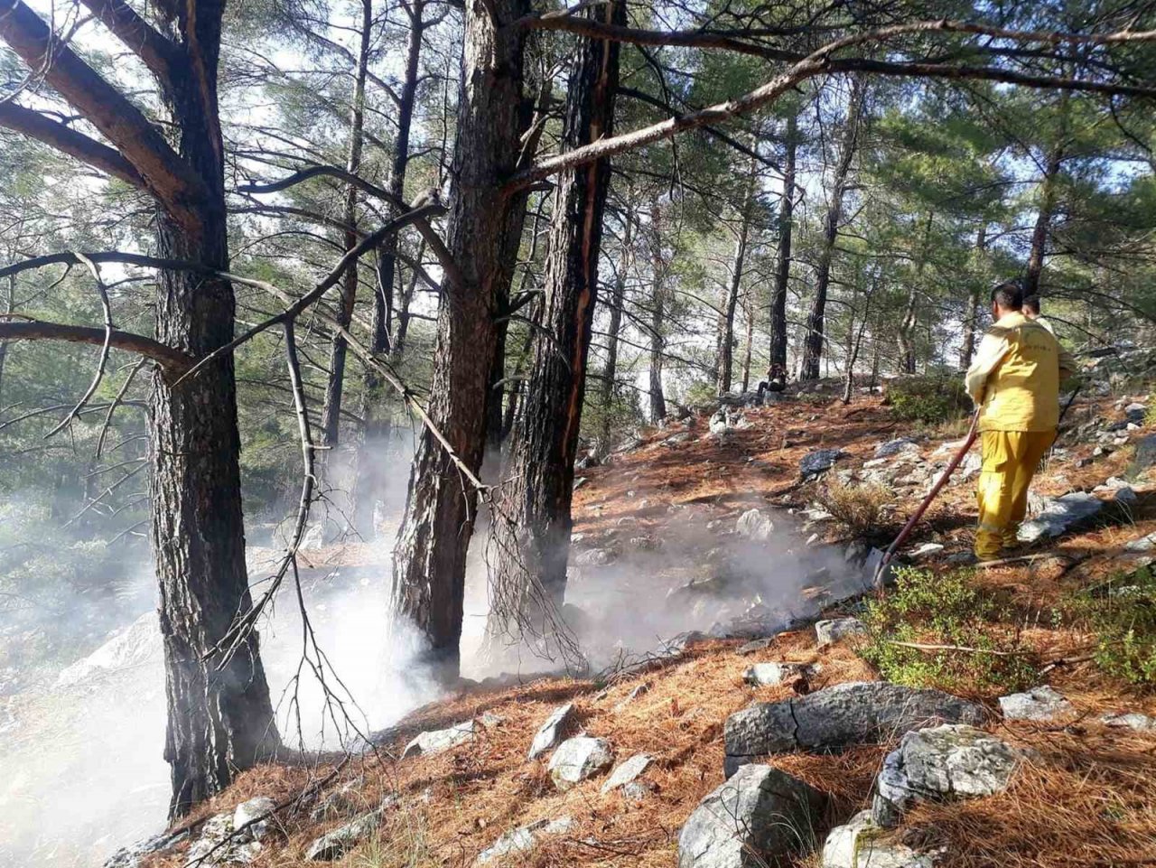 Yaz yağmurları yıldırım yangınlarını arttırdı