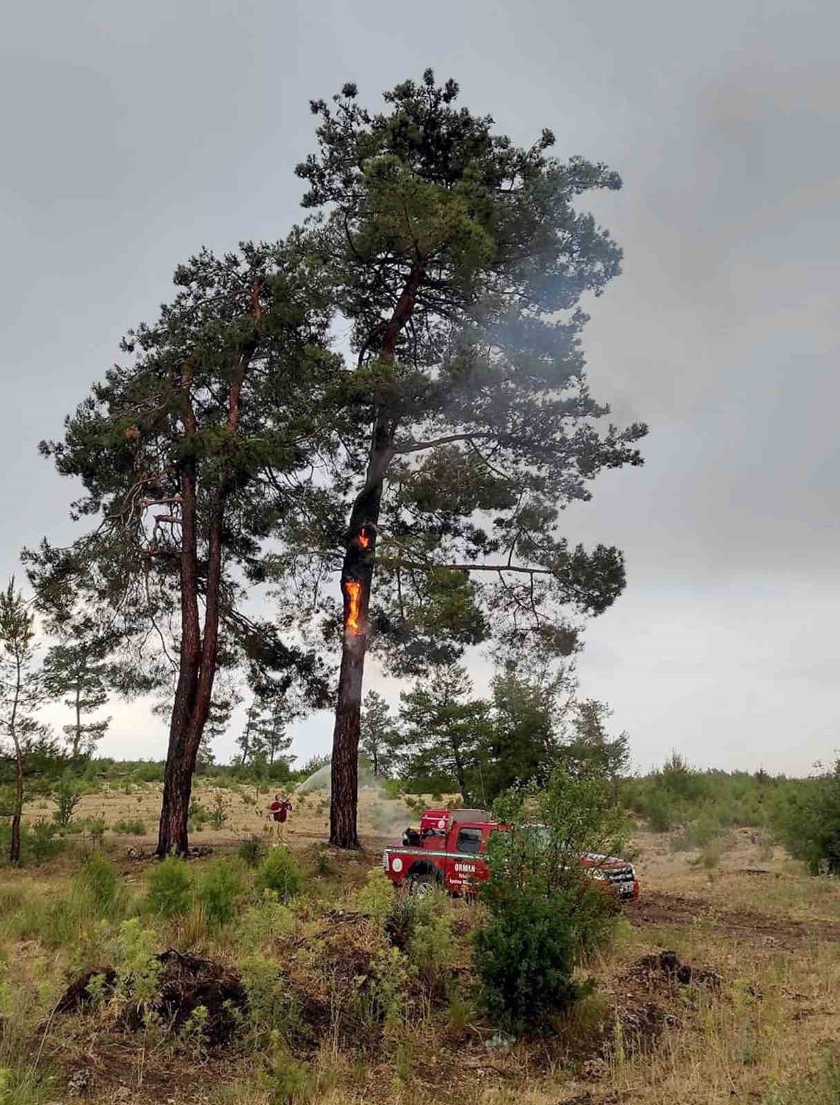 Yaz yağmurları yıldırım yangınlarını arttırdı