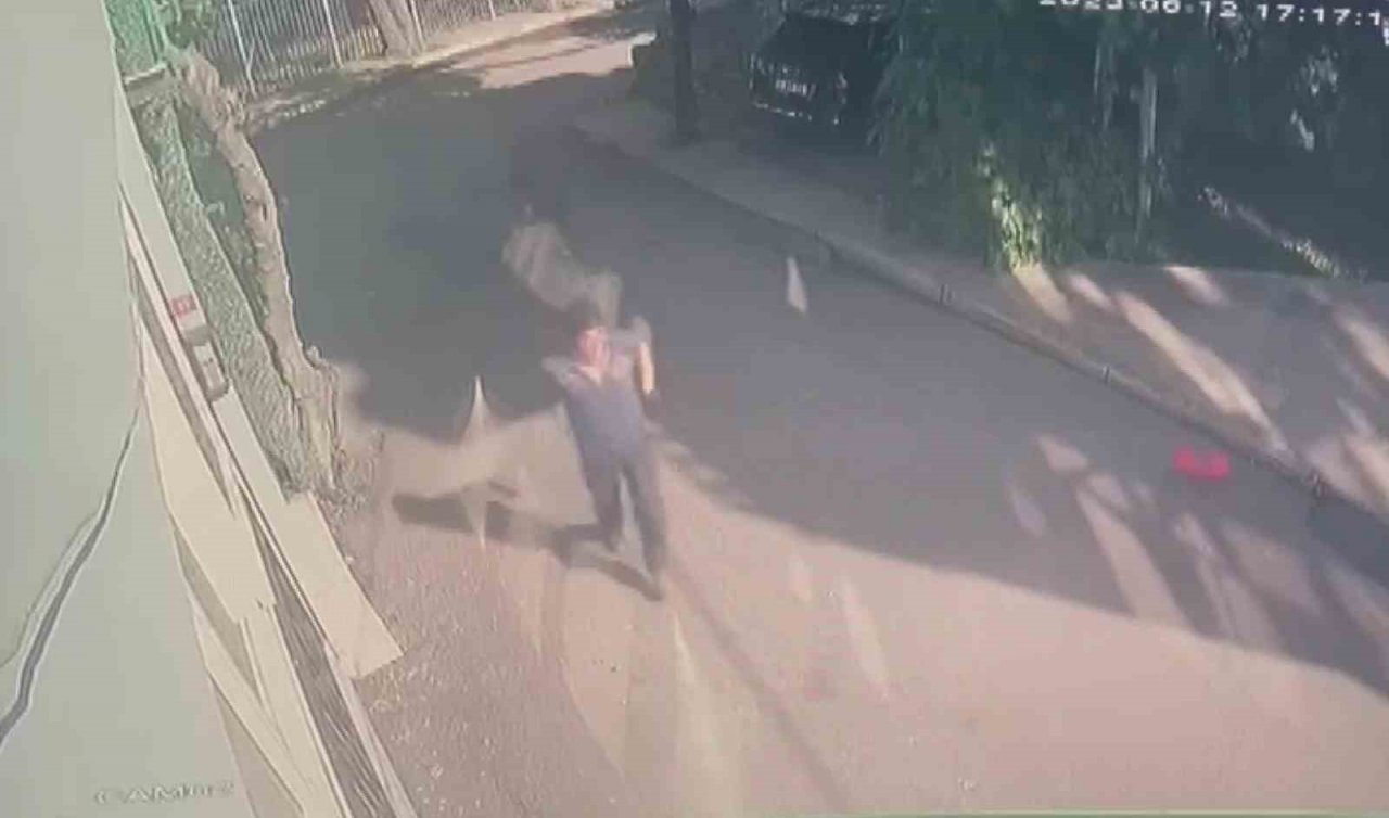 Pendik’te sokak ortasında bıçaklı cinayet kamerada