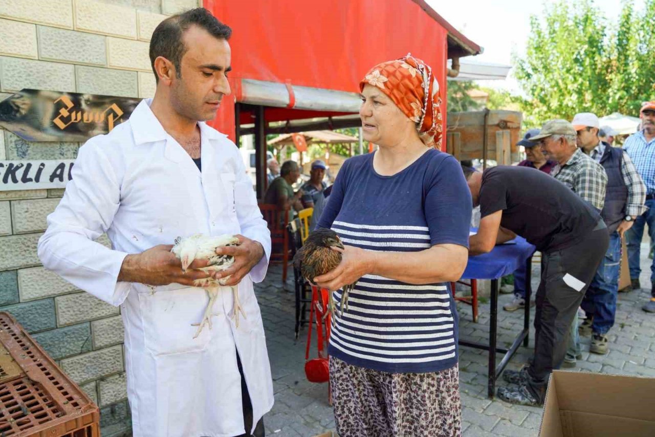 Seferihisar Belediyesinden 400 çiftçiye 4 bin tavuk