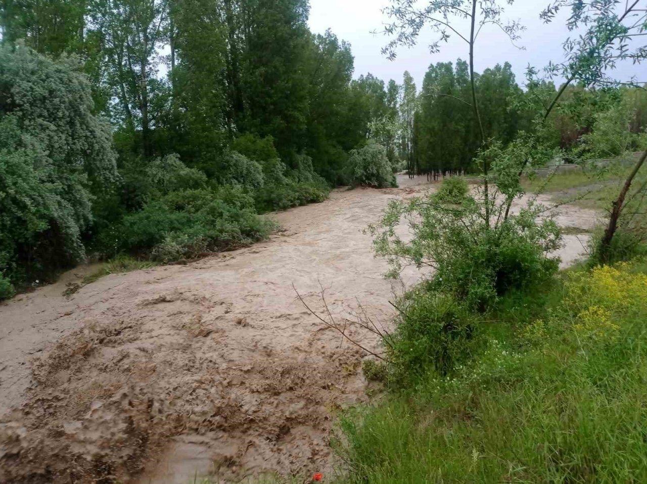 Sel tarım arazilerine zarar verdi