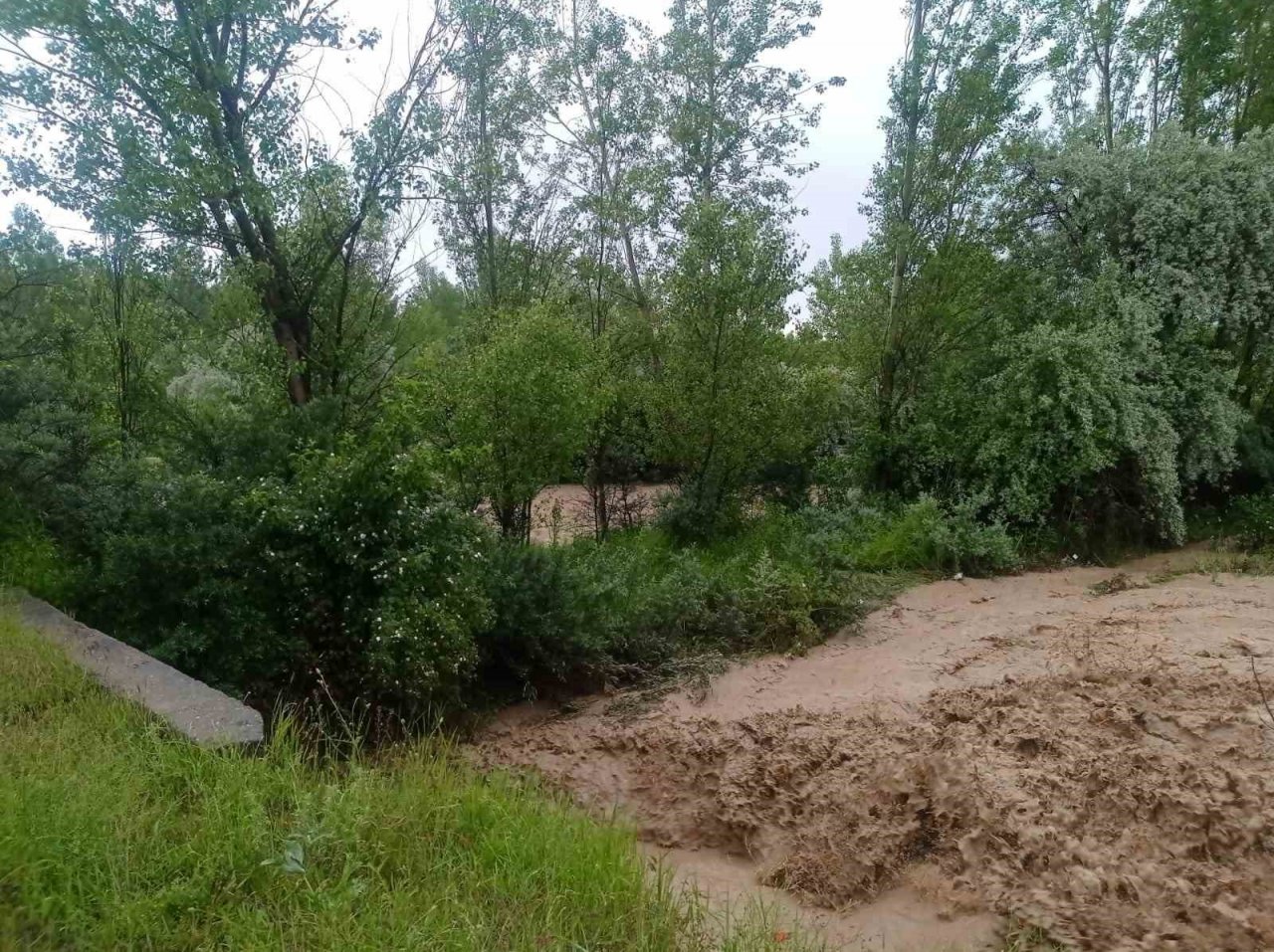 Sel tarım arazilerine zarar verdi