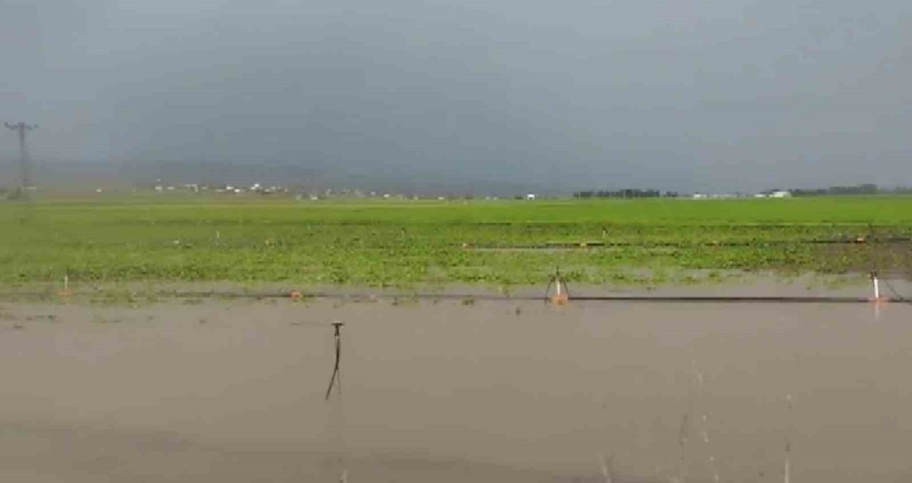 Sel tarım arazilerine zarar verdi