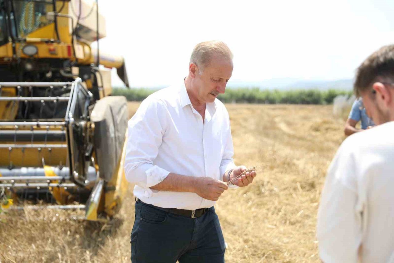 Didim’de ikinci kez buğday hasadı sevinci yaşandı