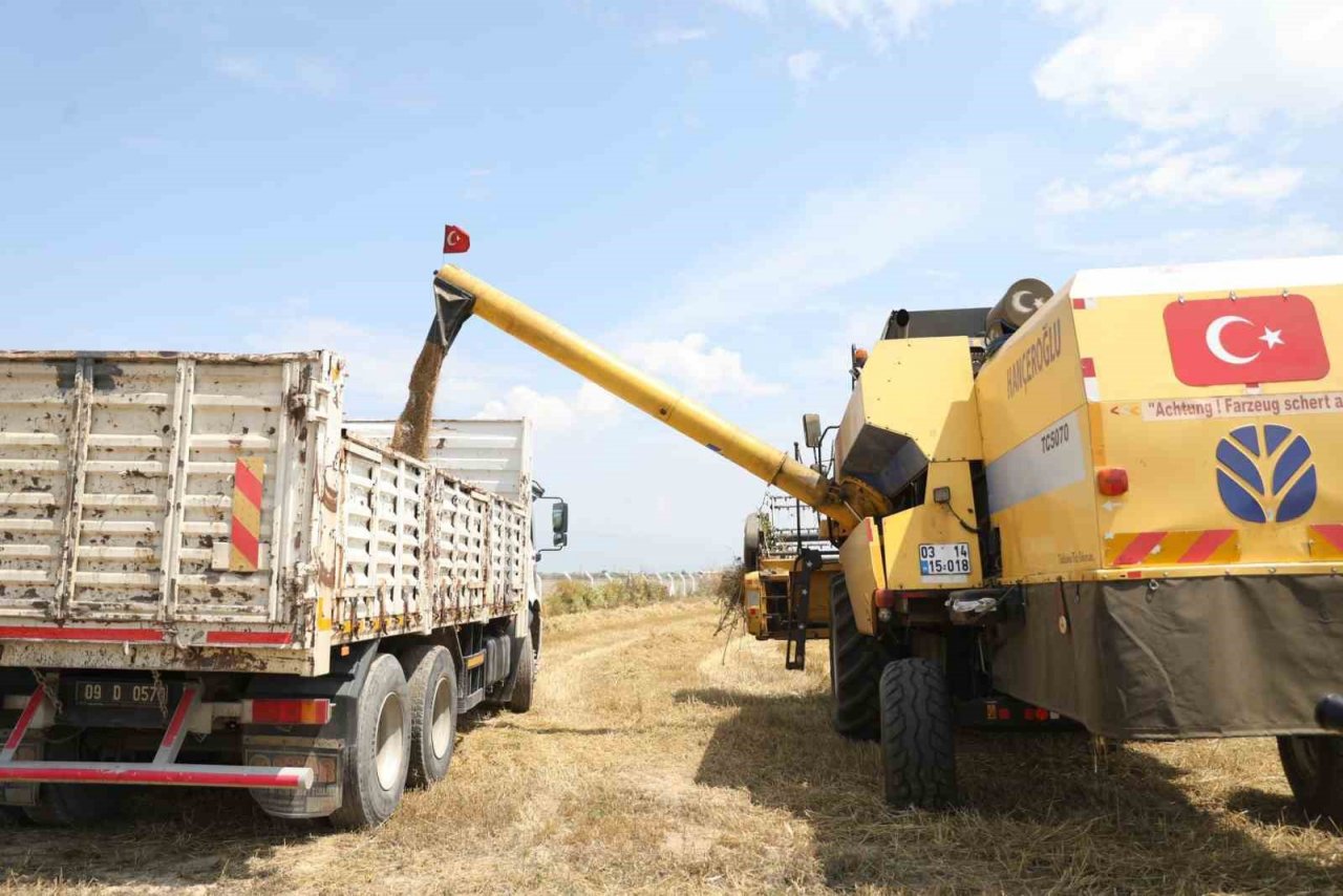 Didim’de ikinci kez buğday hasadı sevinci yaşandı