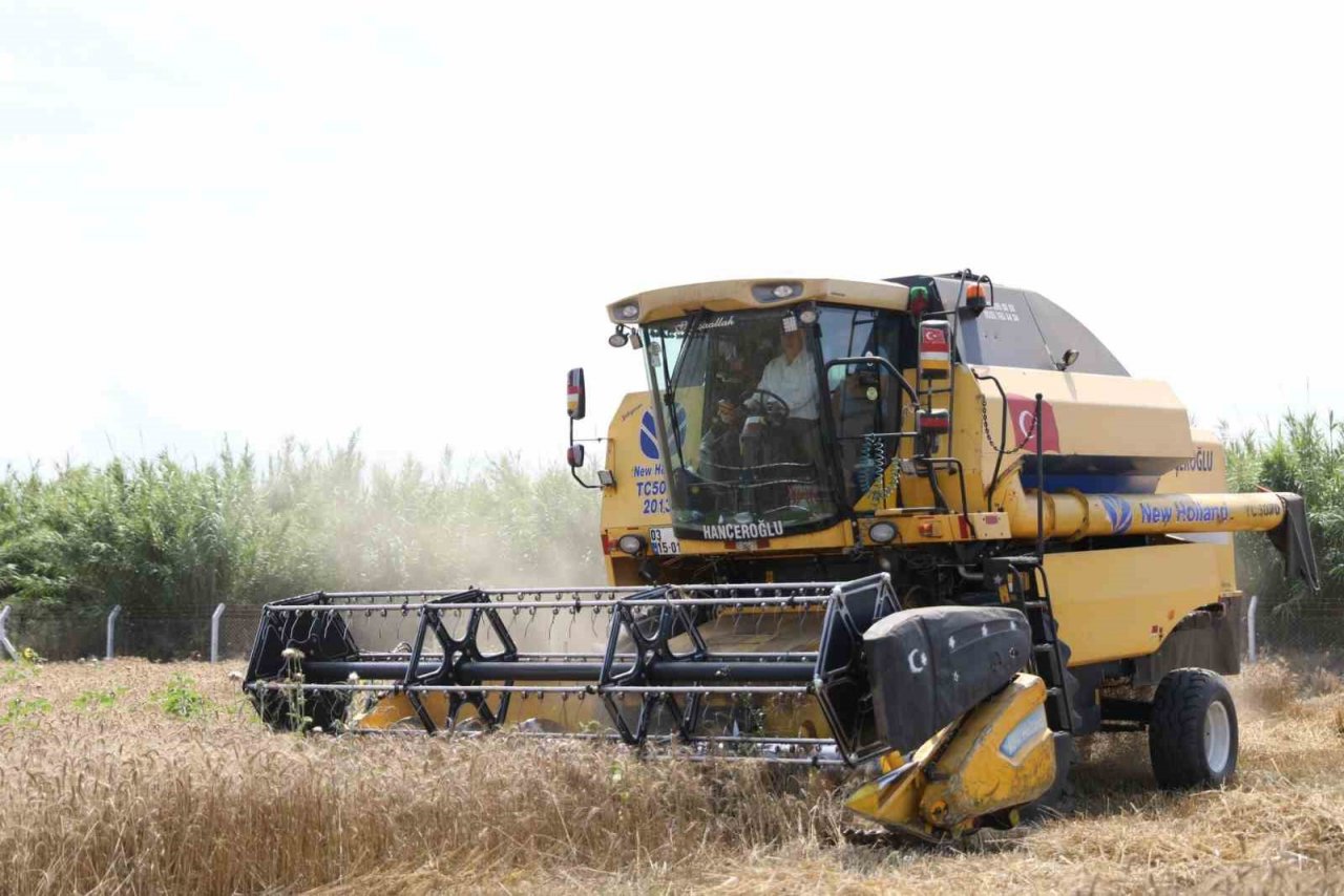 Didim’de ikinci kez buğday hasadı sevinci yaşandı