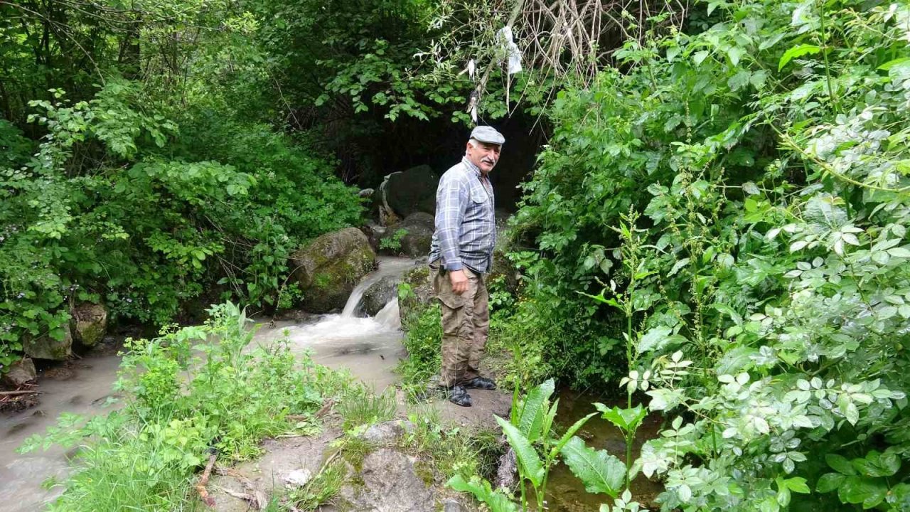 Sarılık hastaları bu suda şifa arıyor