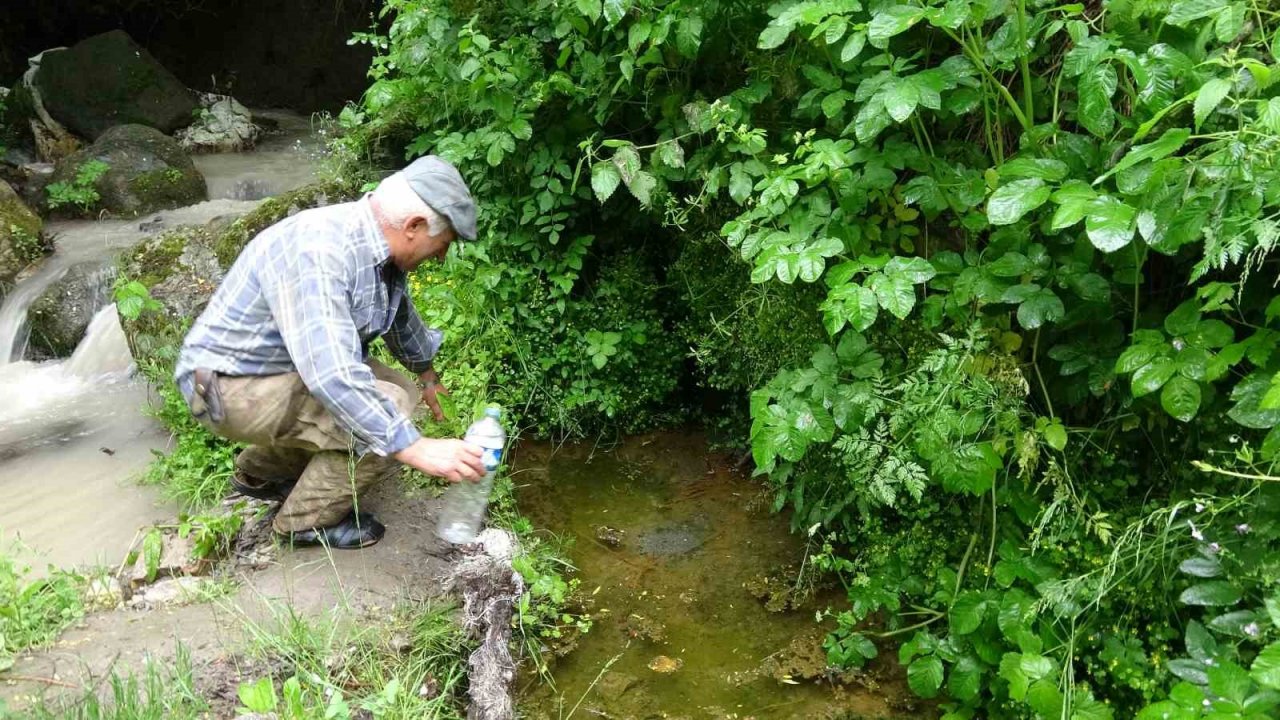 Sarılık hastaları bu suda şifa arıyor