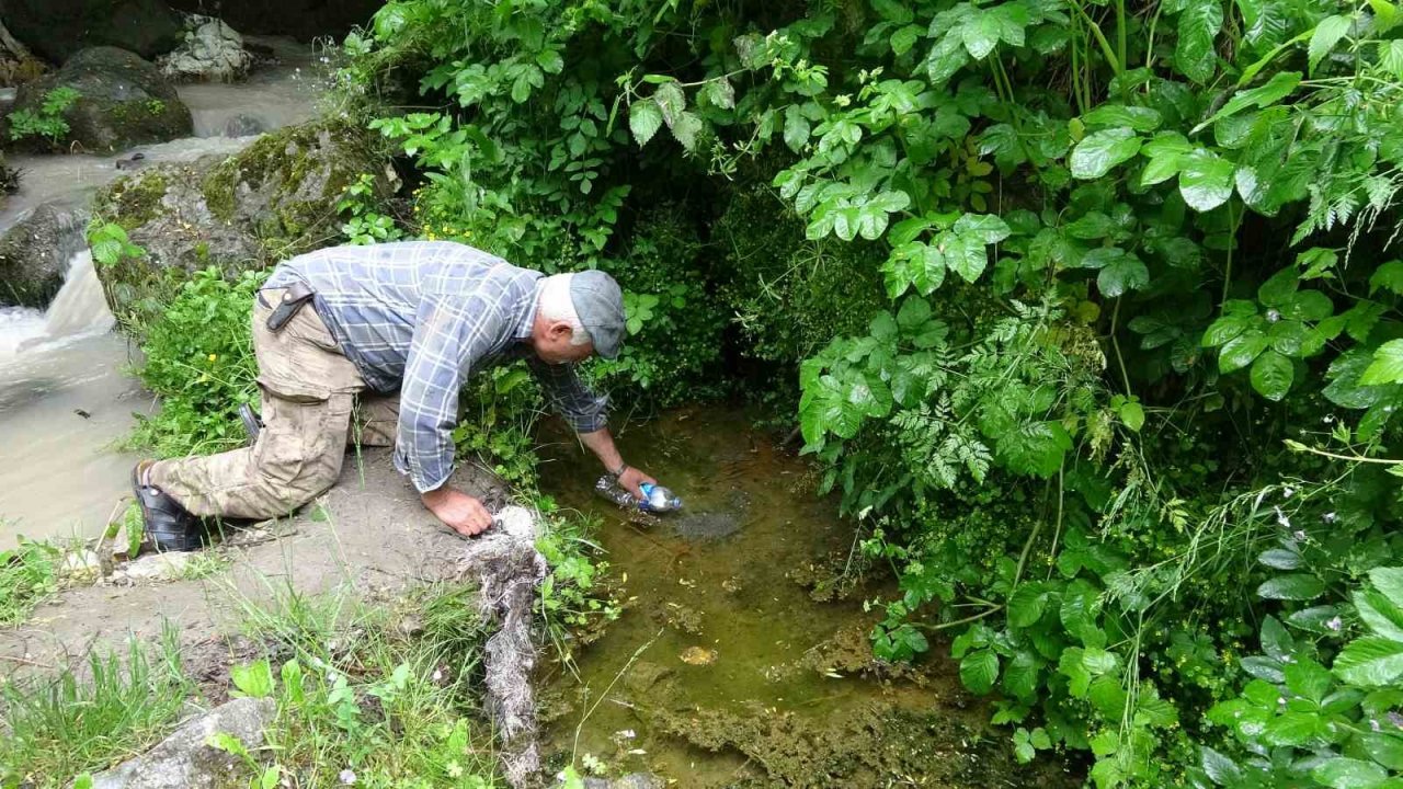 Sarılık hastaları bu suda şifa arıyor