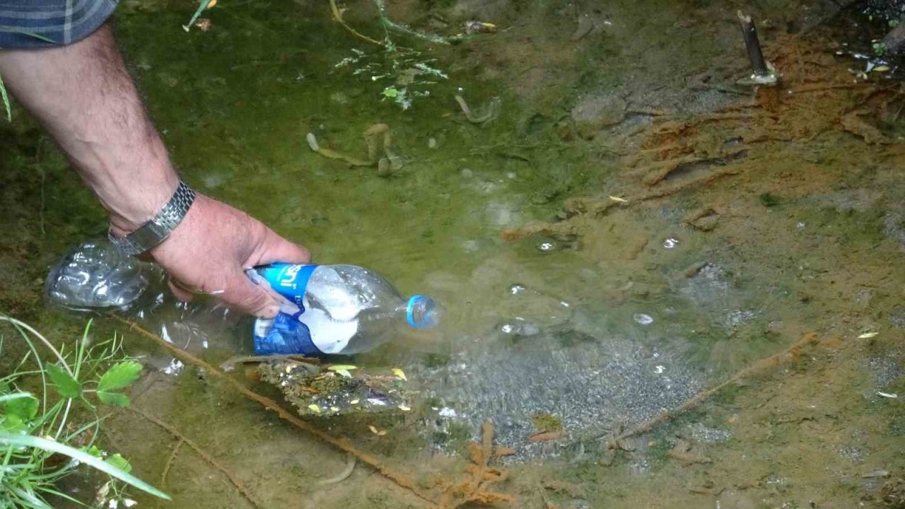 Sarılık hastaları bu suda şifa arıyor