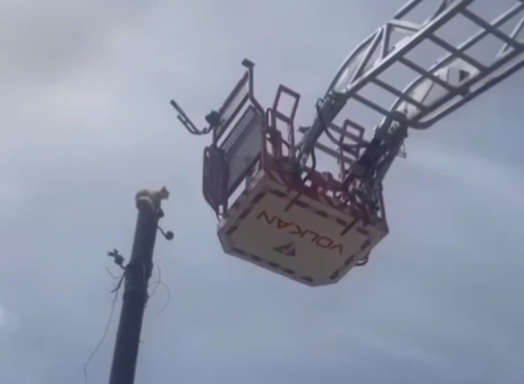 Van’da mahsur kalan güvercin ile kedi kurtarıldı