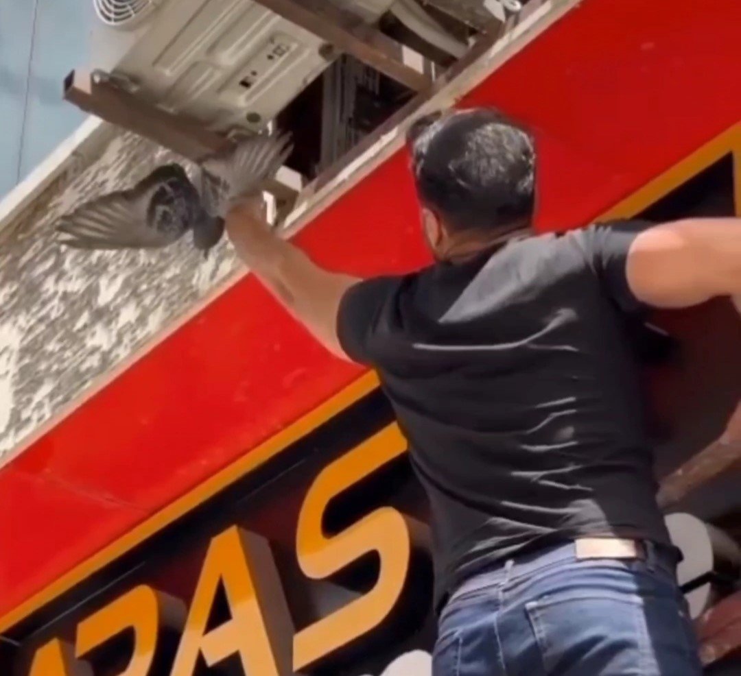 Van’da mahsur kalan güvercin ile kedi kurtarıldı