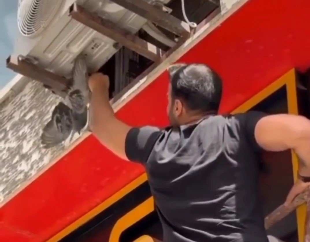 Van’da mahsur kalan güvercin ile kedi kurtarıldı