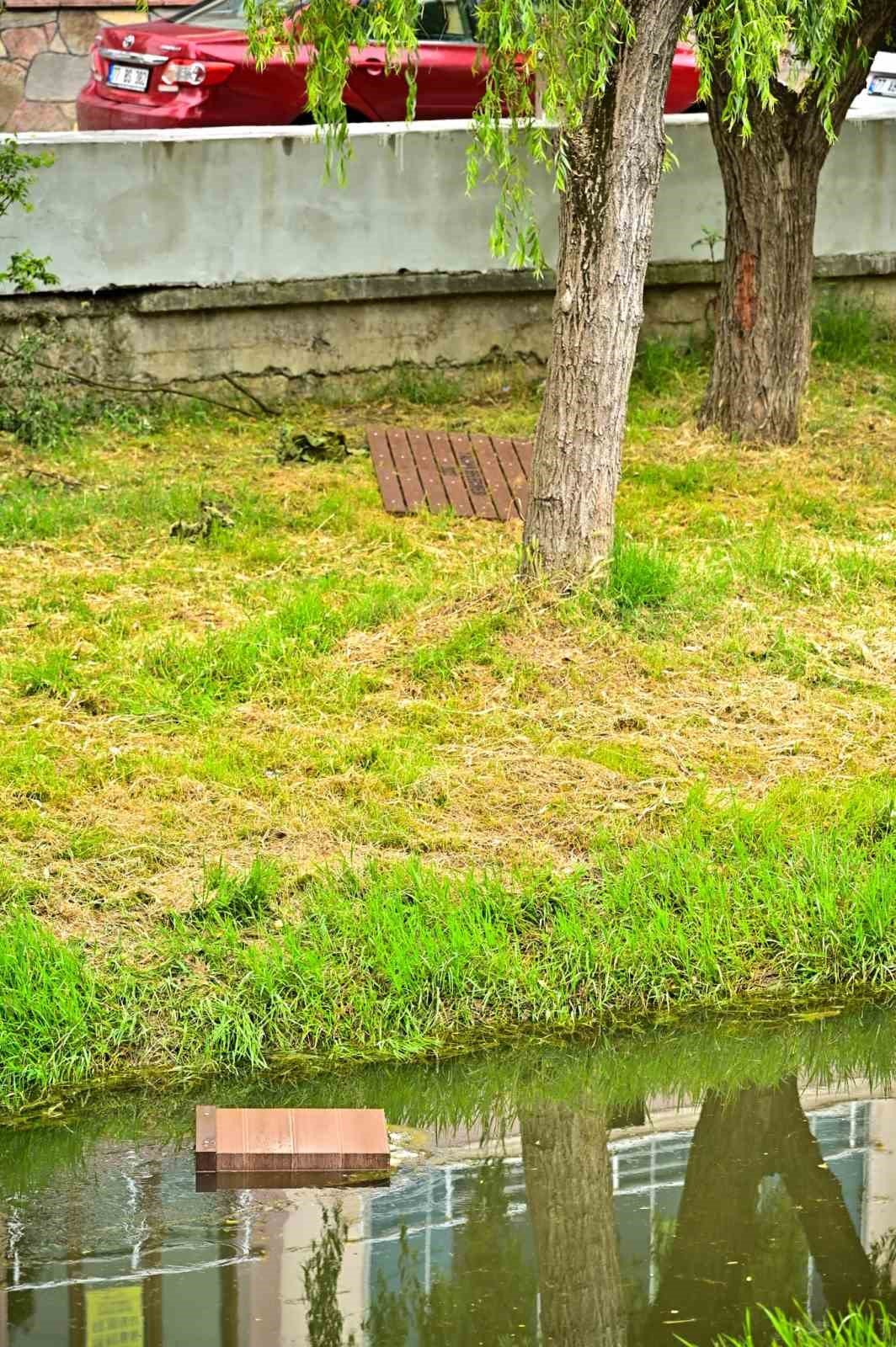 Yalova’da Vandallar iş başında