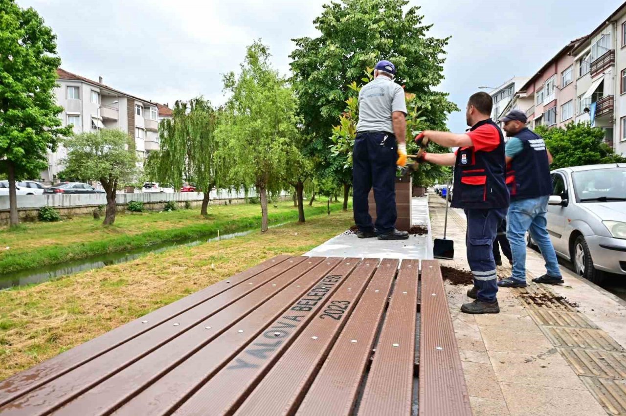 Yalova’da Vandallar iş başında