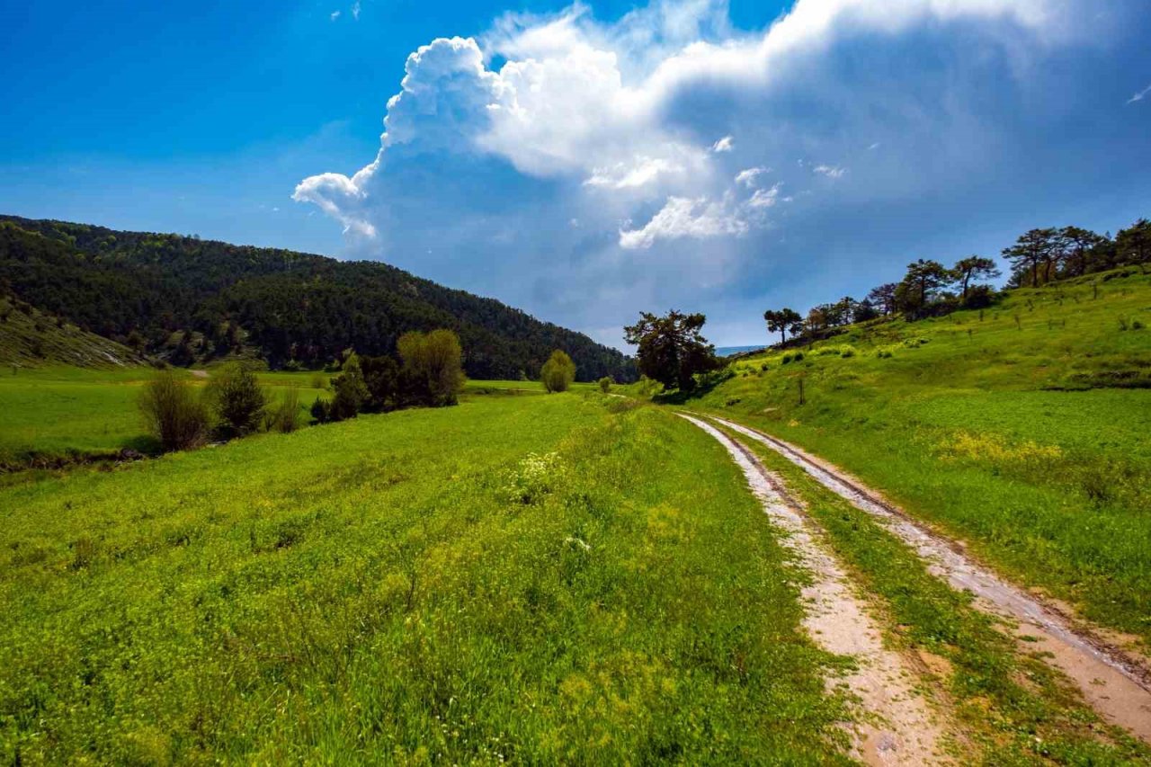 Yozgat yağışlarla birlikte yeşile büründü