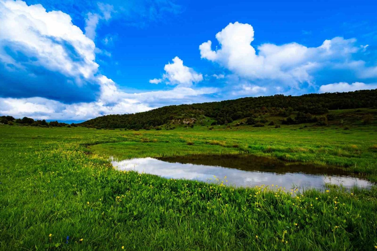 Yozgat yağışlarla birlikte yeşile büründü