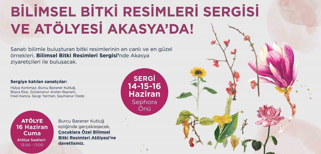 Akasya’da karne etkinlikleri başlıyor