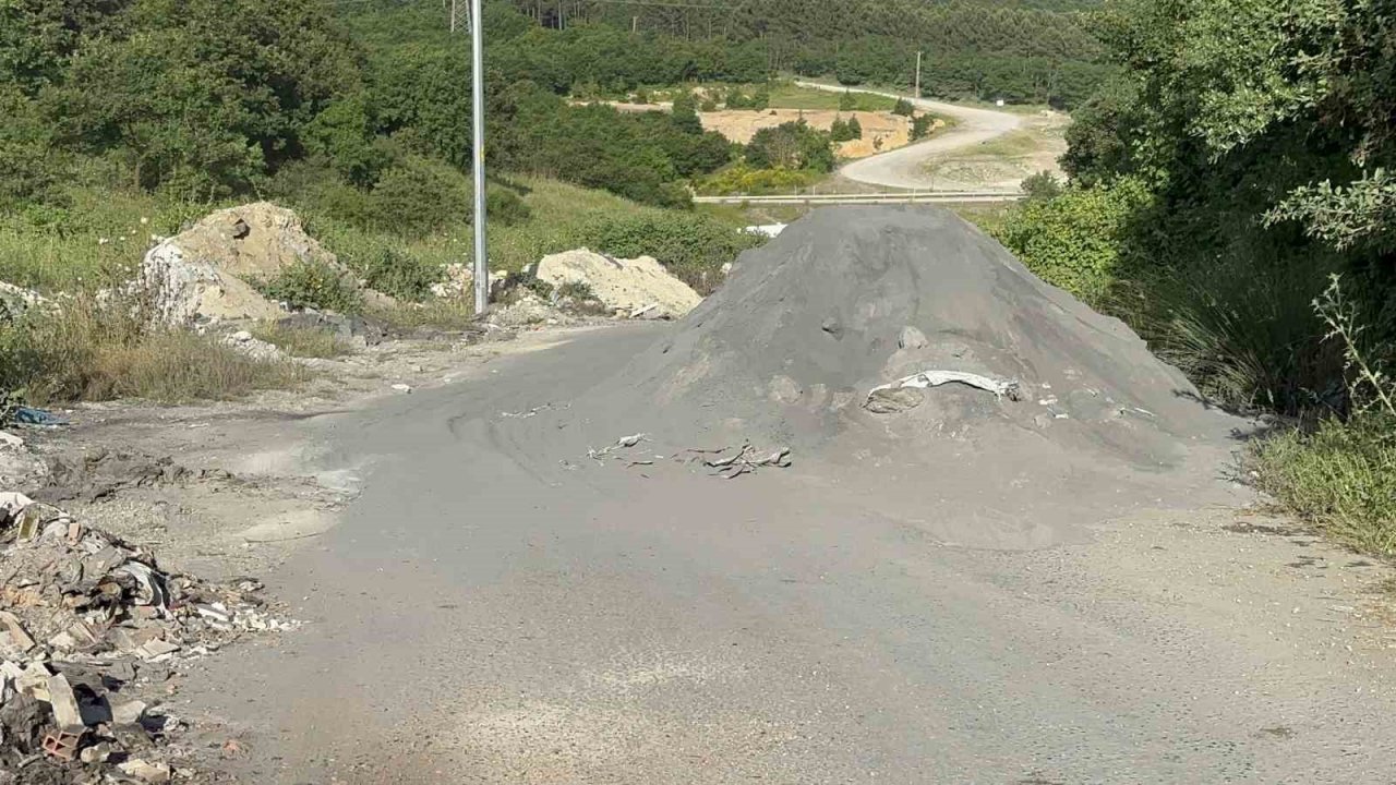 Kurban Bayramı öncesinde hayvan satışlarına "kimyasal döküm" engeli