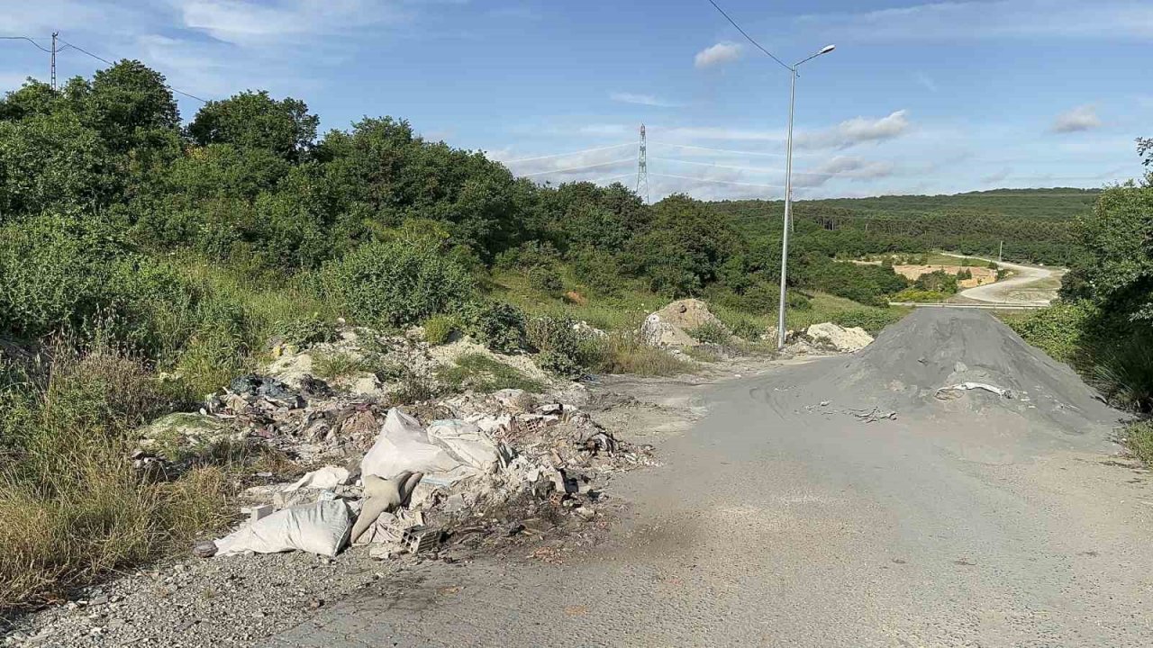 Kurban Bayramı öncesinde hayvan satışlarına "kimyasal döküm" engeli