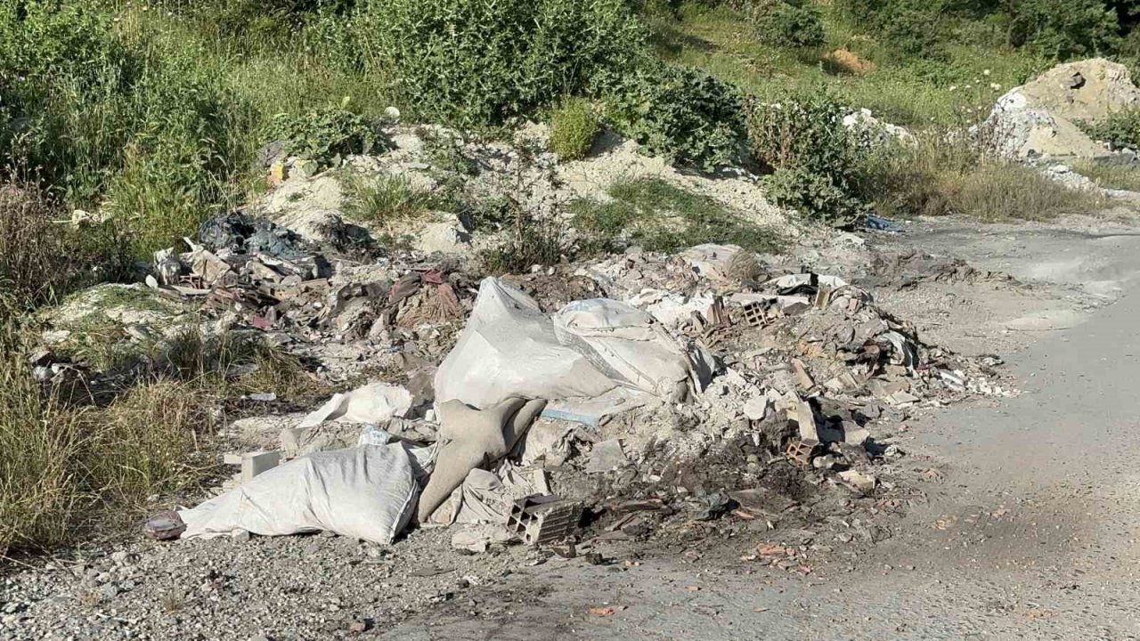 Kurban Bayramı öncesinde hayvan satışlarına "kimyasal döküm" engeli