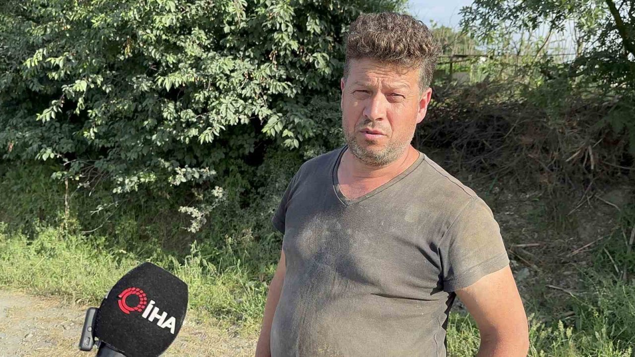 Kurban Bayramı öncesinde hayvan satışlarına "kimyasal döküm" engeli