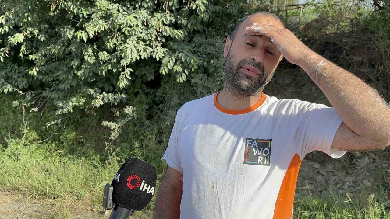 Kurban Bayramı öncesinde hayvan satışlarına "kimyasal döküm" engeli