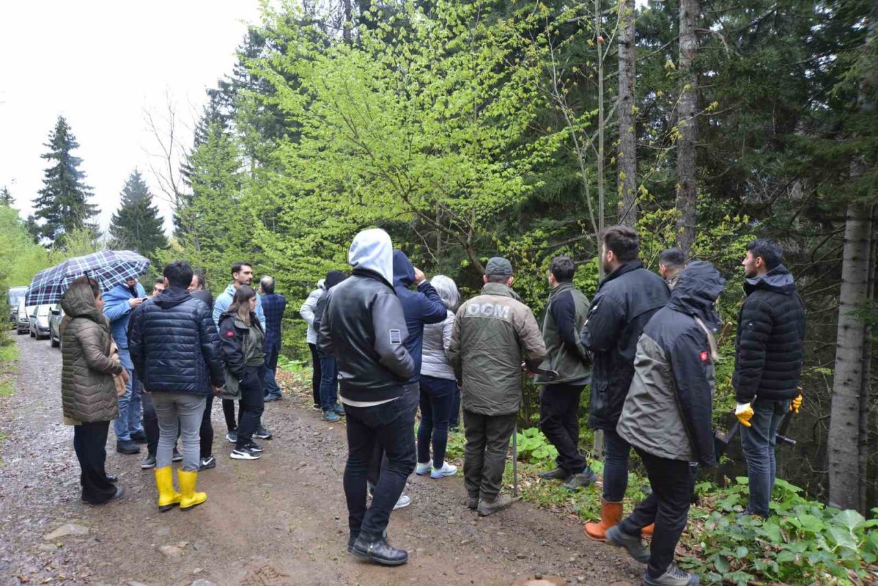 Ormanlar orman Mühendisliği öğrencilerine hem dershane hem gelir kapısı oldu