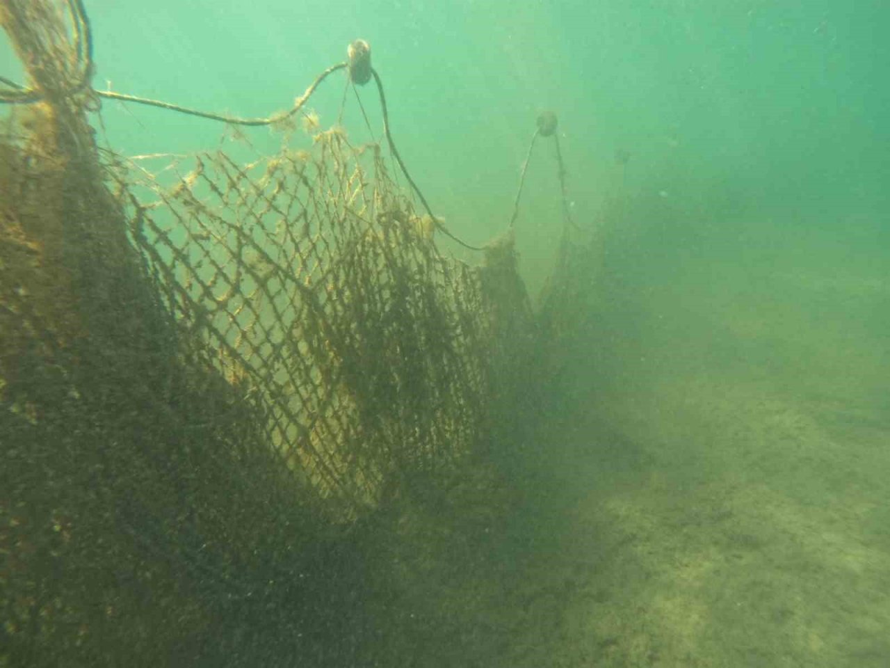 50 bin metrekare hayalet ağ denizlerden arındırıldı