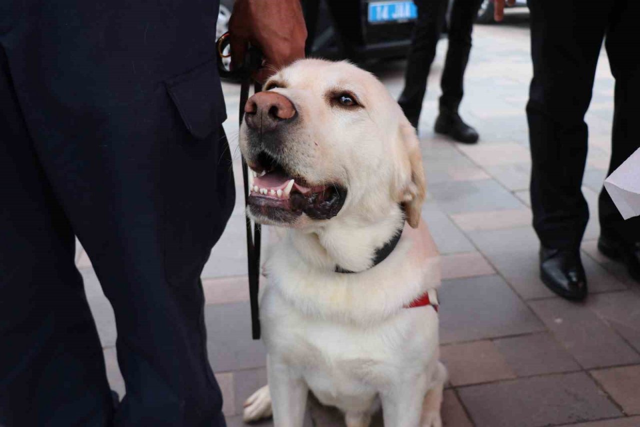 Bolu’da Jandarma’nın 184’üncü kuruluş haftası kutlandı
