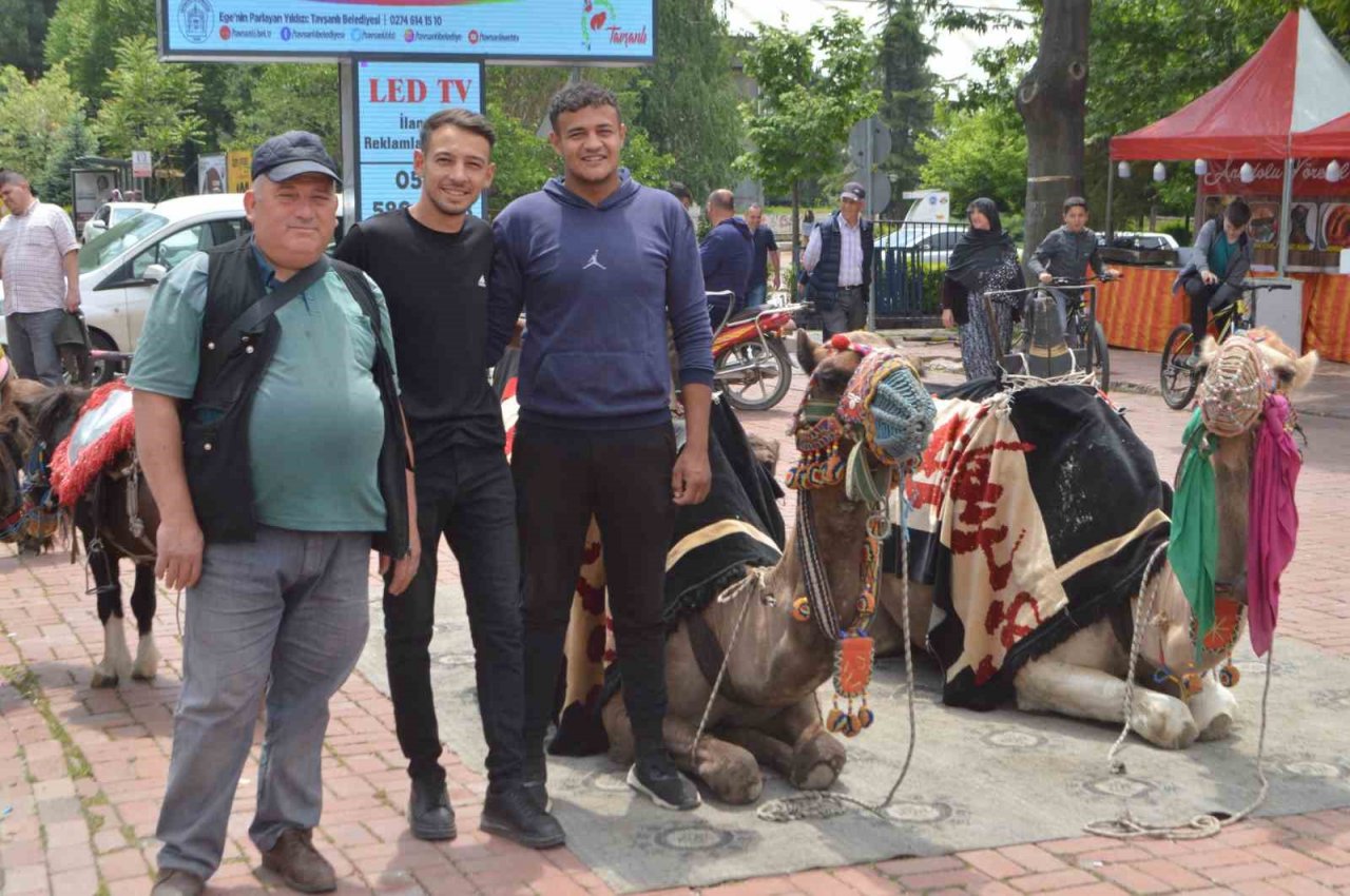 Tavşanlı’da develere ilgi