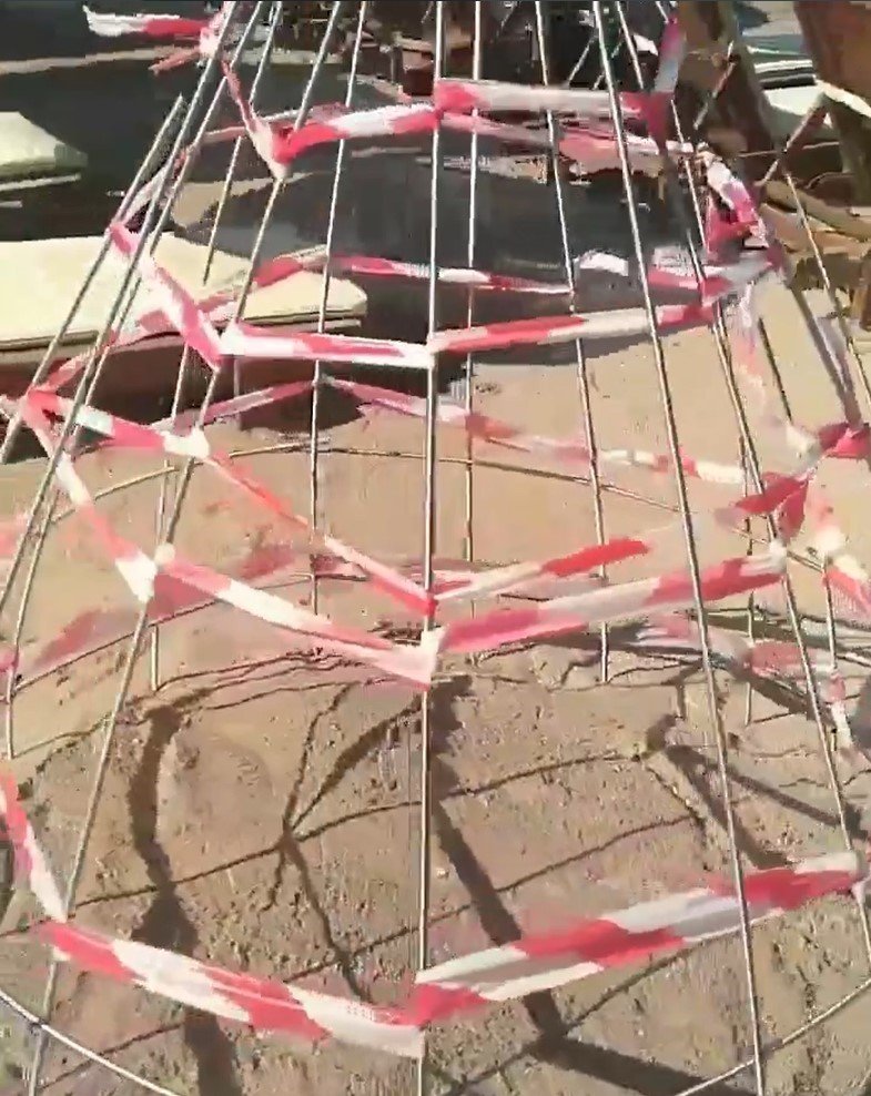 Didim “Caretta Caretta”ların yeni yuvası oldu