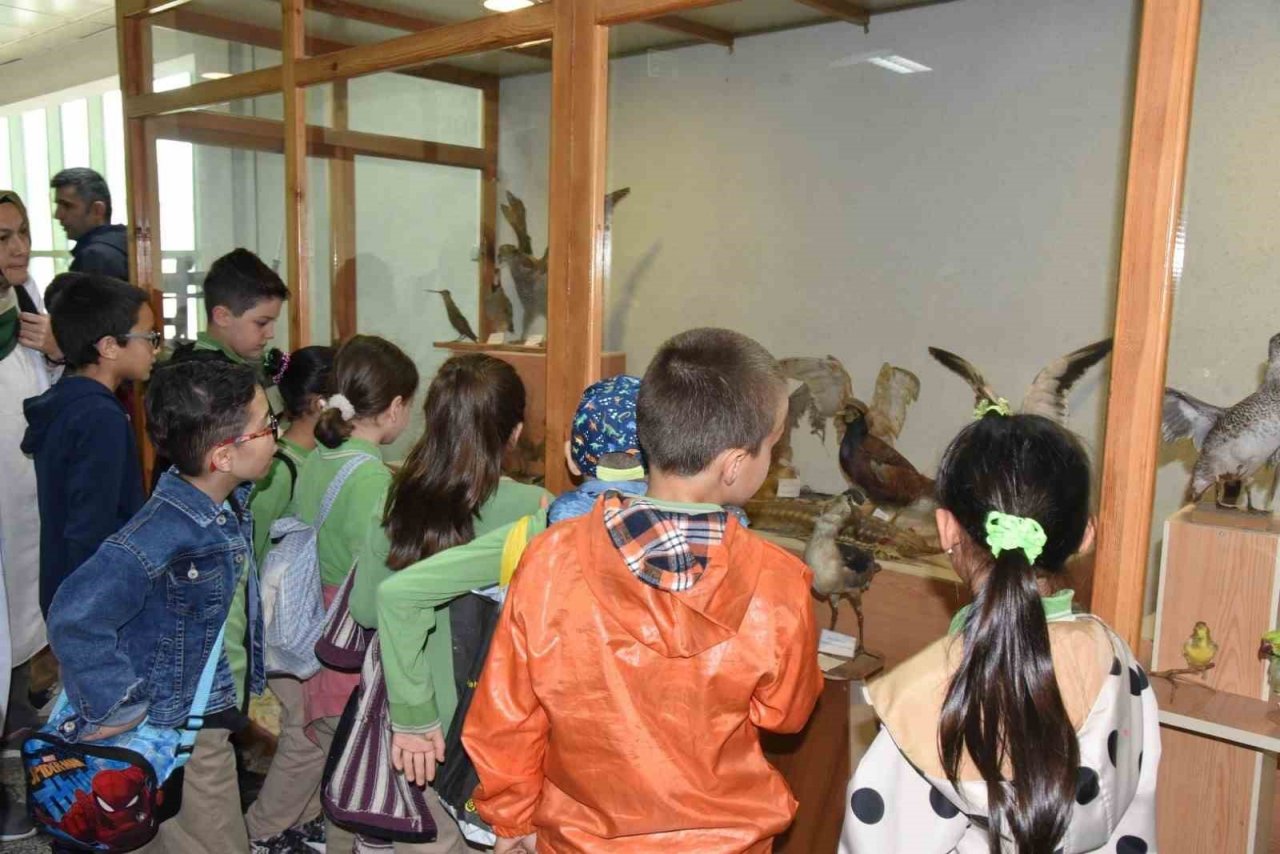 İlkokul öğrencileri doğayı tanıyorlar