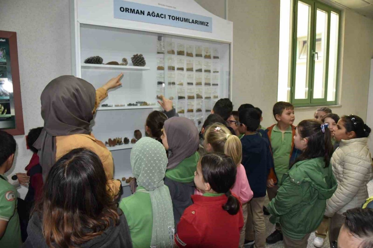 İlkokul öğrencileri doğayı tanıyorlar