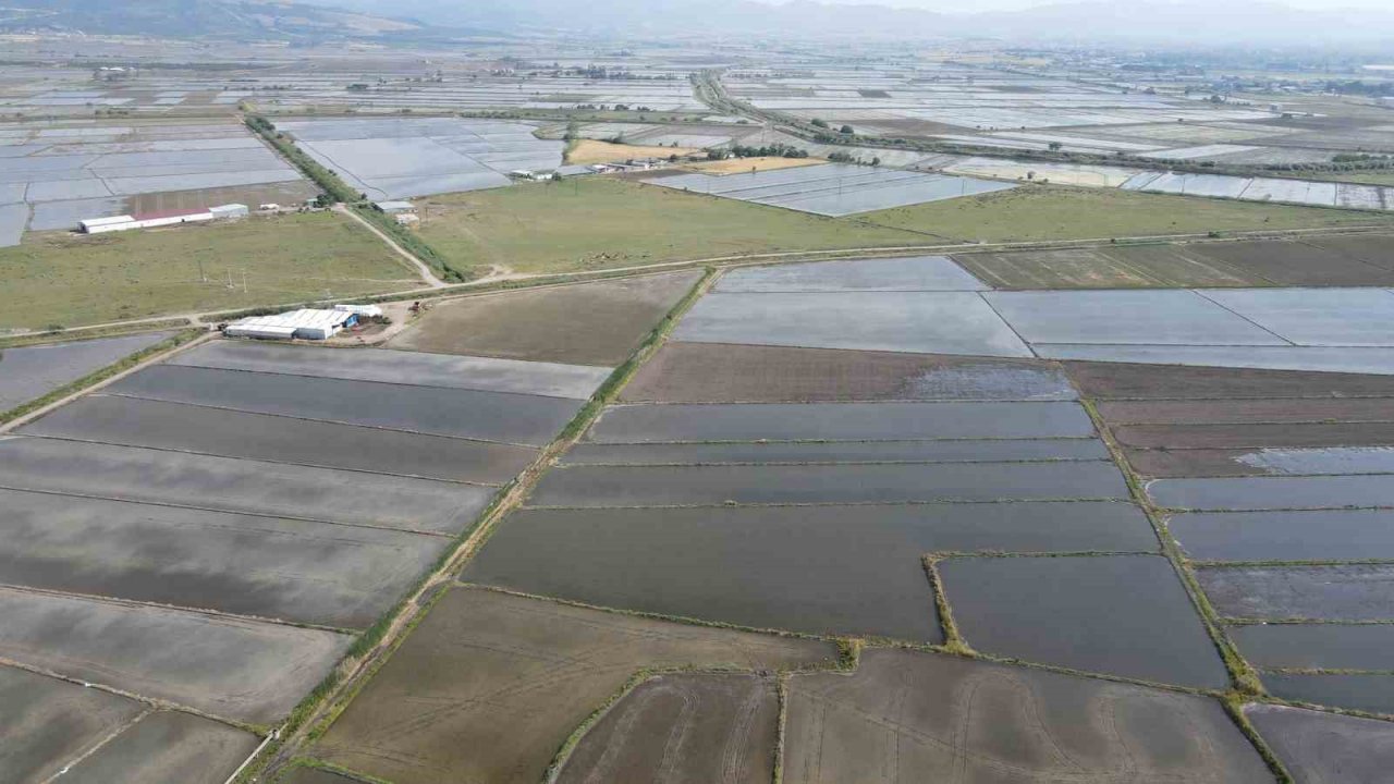 Gönen ve Manyas ovalarında çeltik ekimine başlandı