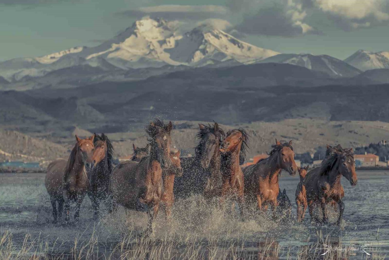 Hürmetçi Sazlığı Türkiye’nin bildiği tanıdığı bir alan olacak