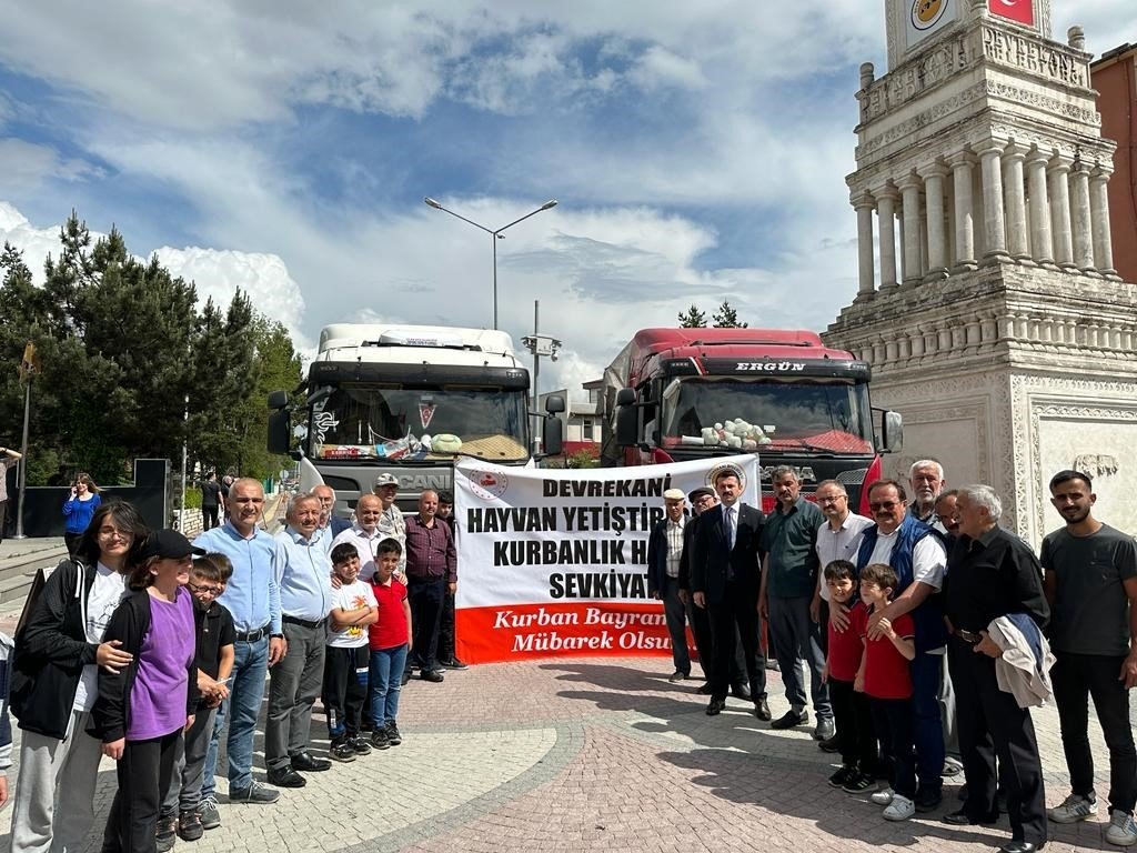 Kastamonu’dan Trakya bölgesine 6 bin 290 hayvan sevk edilecek