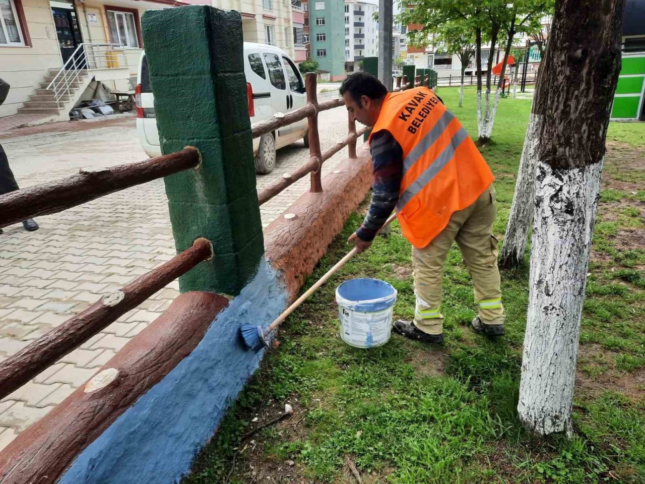 Kavak’a yaz bakımı