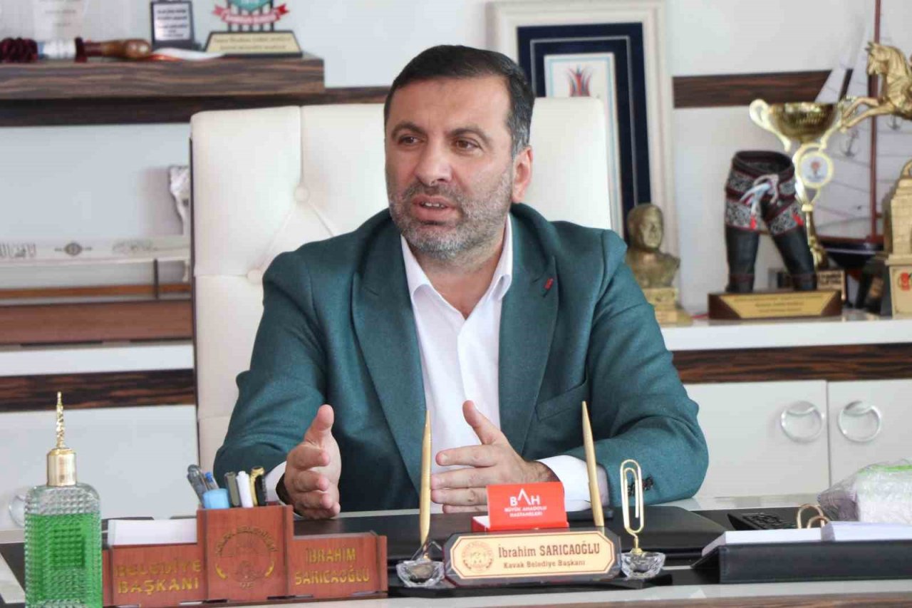 Kavak’a yaz bakımı