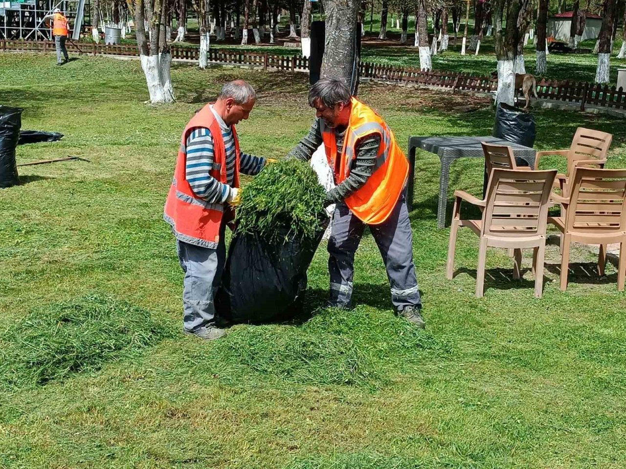 Kavak’a yaz bakımı