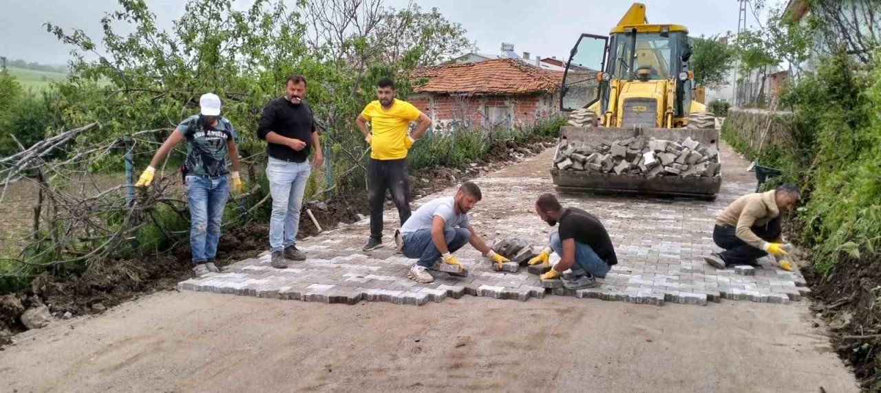 Kavak’a yaz bakımı
